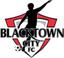 Blacktown City Demons