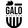 Galo Maringá