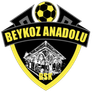 Beykoz Anadolu