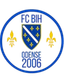BiH Odense