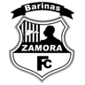 Real Zamora