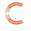 Guangdong Chengjun