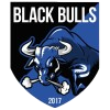 Black Bulls