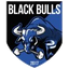 Black Bulls