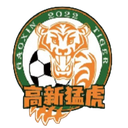 Chongqing Tigre Gaoxin