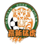 Chongqing Tigre Gaoxin