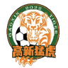 Chongqing Tigre Gaoxin