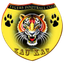 Mighty Tigers