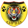 Mighty Tigers