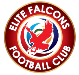Elite Falcons FC
