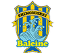 FC Baleine Shimonoseki