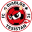 Diablos Tesistán FC