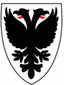 AFC Wimbledon Feminino