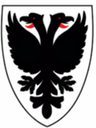 AFC Wimbledon Feminino