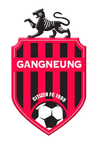 Gangneung Citizen
