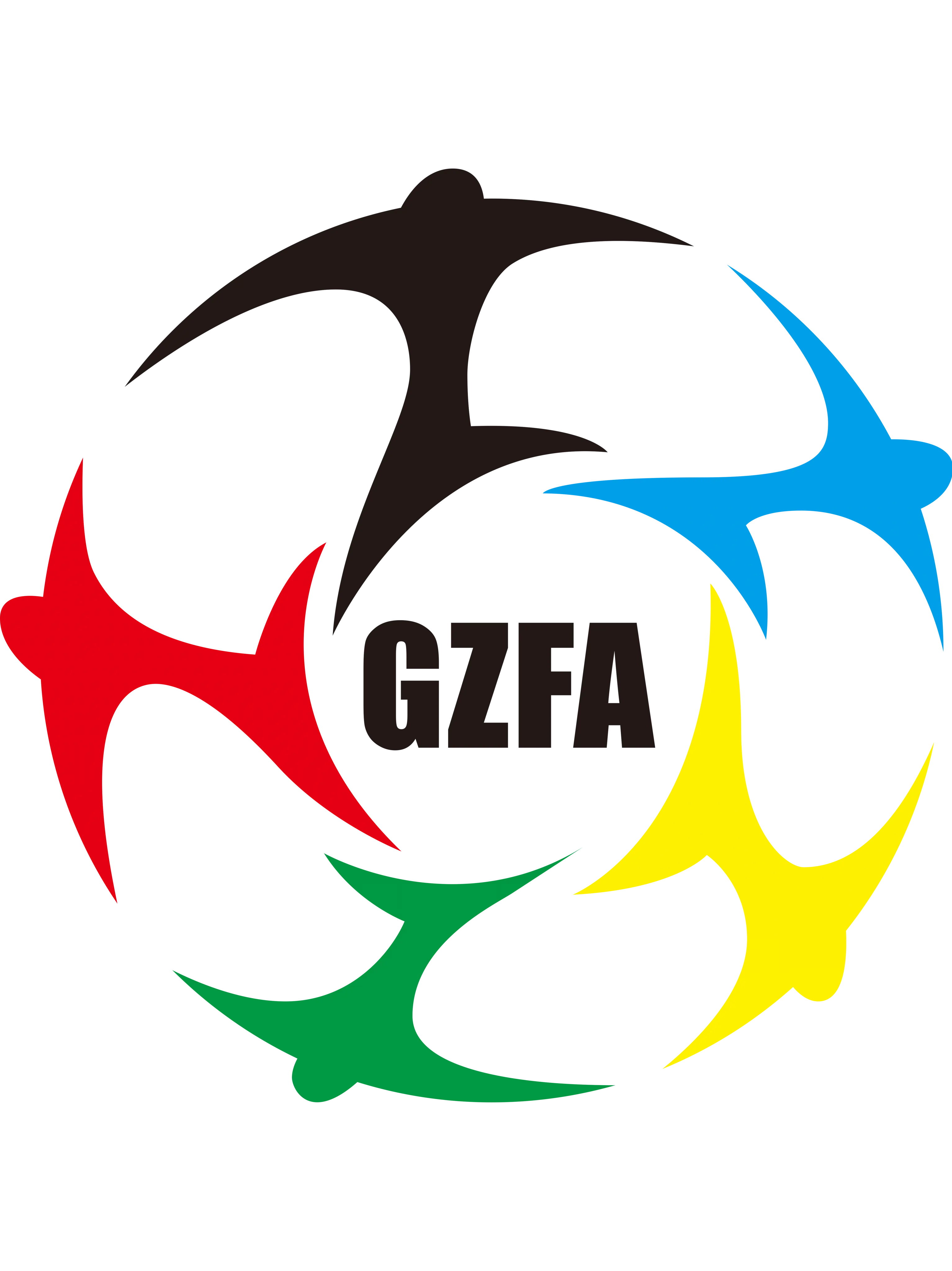 Guizhou Sub-20