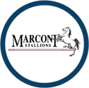 Marconi Stallions