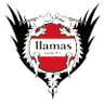 Llamas Kochi FC