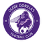 Glebe Gorillas FC