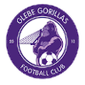 Glebe Gorillas FC