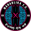 Maharlika Taguig FC