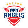 Incheon Hyundai Steel Red Angels Feminino