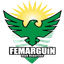CD Femarguín Feminino
