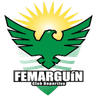 CD Femarguín Femenino