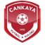 Cankaya FK