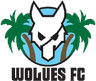 Wolues FC
