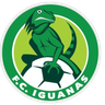 FC Iguanas