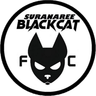 Suranaree Black Cat