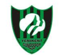 Sakarya Yenikent Gunesspor Feminino