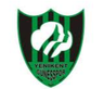 Sakarya Yenikent Gunesspor Feminino
