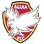 Águia de Cumaru