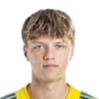 Tomas hellebrand