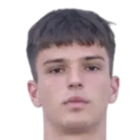 nikola radnic