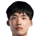 Xie Xiaofan