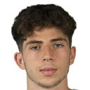 Radu Postelnicu