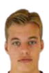 Joel Van der Wilt