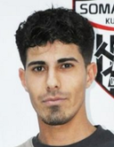 M. Şevik
