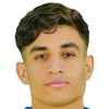 Mohamed Zidan
