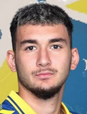 F. Arslan