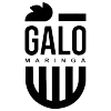 Galo Maringá