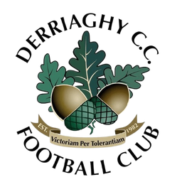 Derriaghy FC
