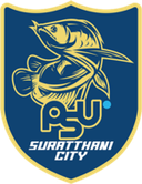Surat Thani City
