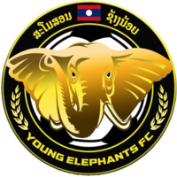 Young Elephants (Feminino)