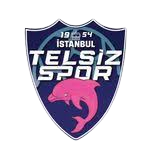 Telsizspor (F)