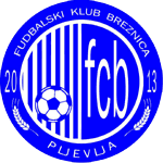 ŽFK Breznica Pljevlja (feminino)