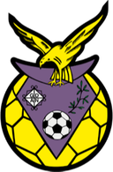 GD Aldeia Nova (F)